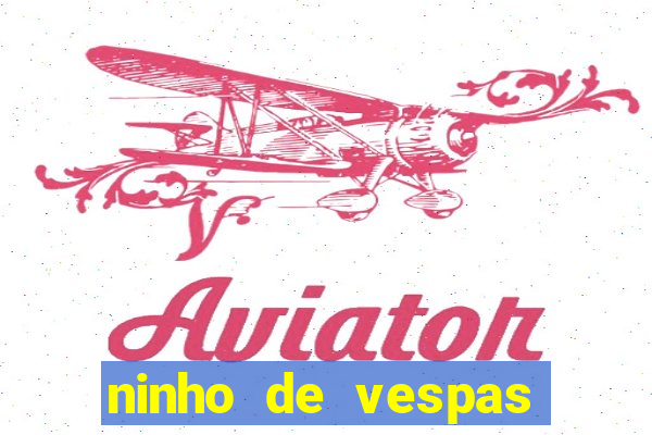 ninho de vespas significado espiritual